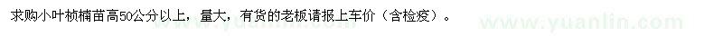 求購(gòu)小葉楨楠苗高50公分以上 