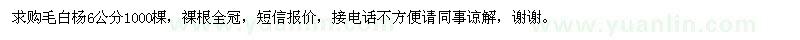 求購毛白楊6公分