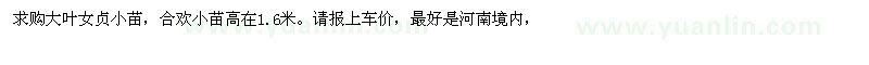 求購大葉女貞小苗，合歡小苗高在1.6米