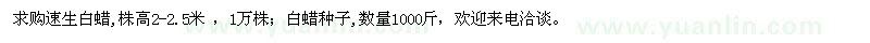 求購速生白蠟,白蠟種子