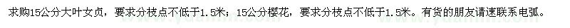 求購大葉女貞,櫻花