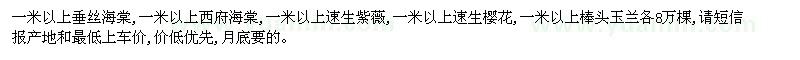 求購當年生小苗：一米以上垂絲海棠,一米以上西府海棠等