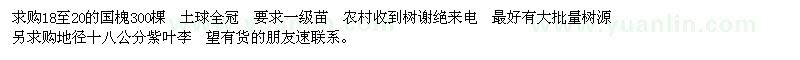 求購(gòu)國(guó)槐  紫葉李