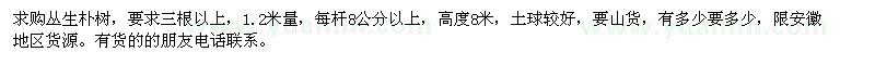 求購叢生樸樹