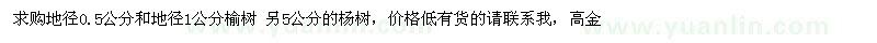求購地徑0.5公分和地徑1公分榆樹 5公分的楊樹 
