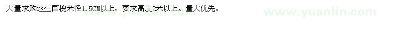 求購速生國槐米徑1.5CM以上 