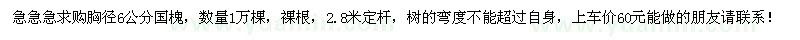 求購胸徑6公分國槐1萬棵