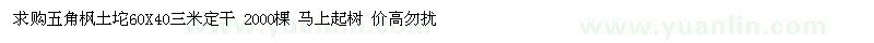 求購(gòu)五角楓土坨60X40三米定干 2000棵