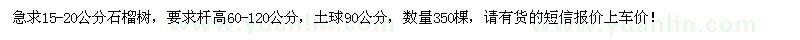 求購15-20公分石榴樹350棵