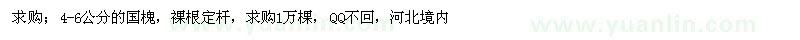 求購4-6公分的國槐，裸根定桿