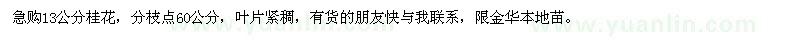 求購13公分桂花