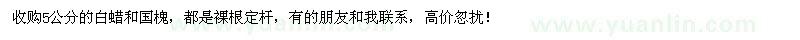 求購5公分的白蠟和國槐，都是裸根定桿