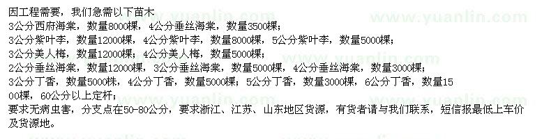 求購西府海棠、紫葉李、美人梅、垂絲海棠、丁香