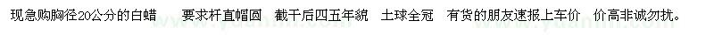 求購白蠟