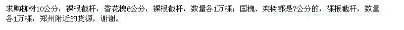 求購(gòu)柳樹,香花槐,國(guó)槐,欒樹