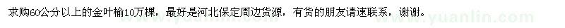 求購(gòu)60公分以上的金葉榆