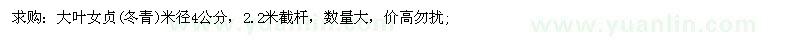 求購大葉女貞(冬青）