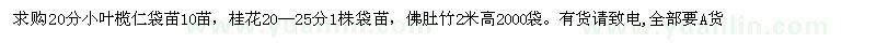 求購小葉欖仁、桂花、佛肚竹一批