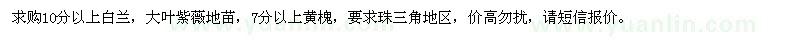 求購白蘭,大葉紫薇,黃槐