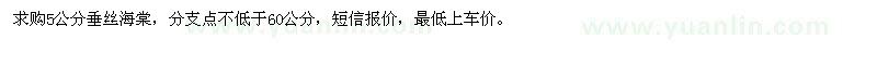 求購5公分垂絲海棠，分支點(diǎn)不低于60