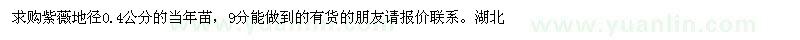 求購紫薇地徑0.4公分的當(dāng)年苗 
