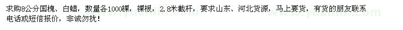 求購(gòu)8公分國(guó)槐、白蠟各1000棵 