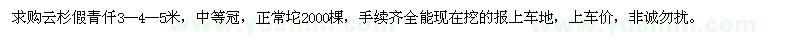 求購云杉假青仟3--4--5米 