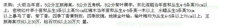 求購火炬樹 紫葉稠李 連翹 紅葉李 紅瑞木 暴馬丁香 榆葉梅 王族 