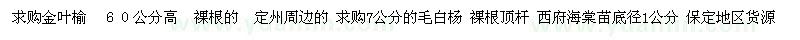 求購(gòu)金葉榆 ６０公分高 7公分的毛白楊