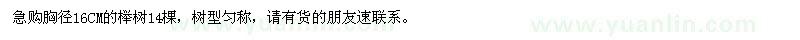 求購胸徑16CM的櫸樹，急
