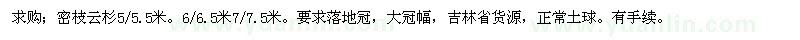 求購密枝云杉5/5.5米。6/6.5米7/7.5米