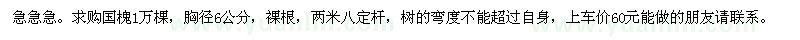 求購(gòu)急急急。國(guó)槐1萬棵，胸徑6公分