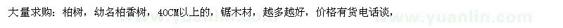 求購柏樹，幼名柏香樹，40CM以上的