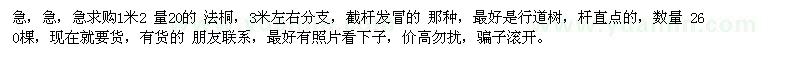 求購1米2量20的 法桐