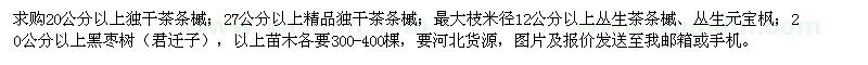 求購茶條槭、元寶楓、黑棗樹(shù)