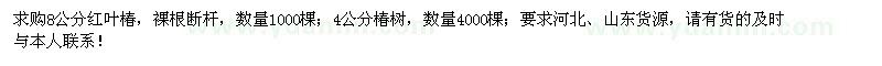 求購4、8公分紅葉椿5000棵