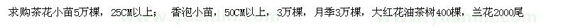 求購茶花小苗5萬棵； 香泡小苗，月季