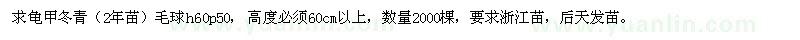 求購龜甲冬青（2年苗）毛球h60p50