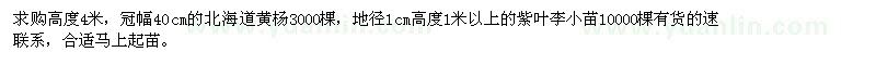 求購高度4米，冠幅40cm的北海道黃楊，地徑1cm的紫葉李小苗