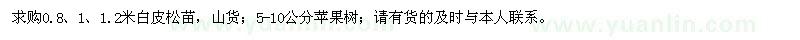 求購白皮松、蘋果樹