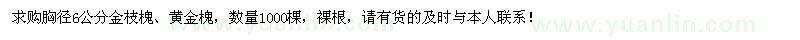求購胸徑6公分金枝槐、黃金槐1000棵
