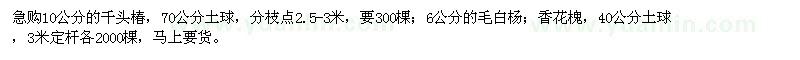 求購10公分的千頭椿