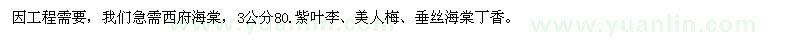 求購西府海棠、紫葉李、美人梅、垂絲海棠丁香