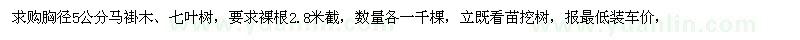 求購胸徑五厘米馬褂木 七葉樹