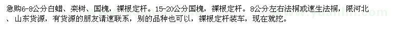 求購(gòu)6-8公分白蠟、欒樹(shù)、國(guó)槐