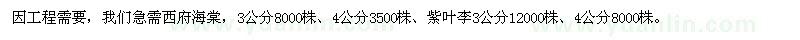 求購(gòu)苗木：西府海棠、紫葉李、美人梅、垂絲海棠、丁香