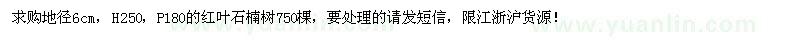 求購地徑6cm紅葉石楠樹