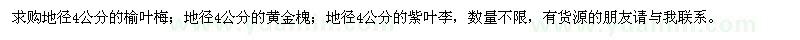 求購榆葉梅、黃金槐、紫葉李