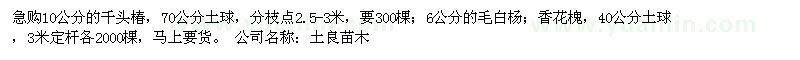 求購急購10公分的千頭椿