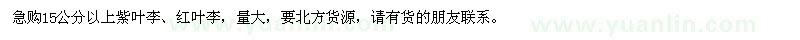 求購15公分以上紫葉李、紅葉李